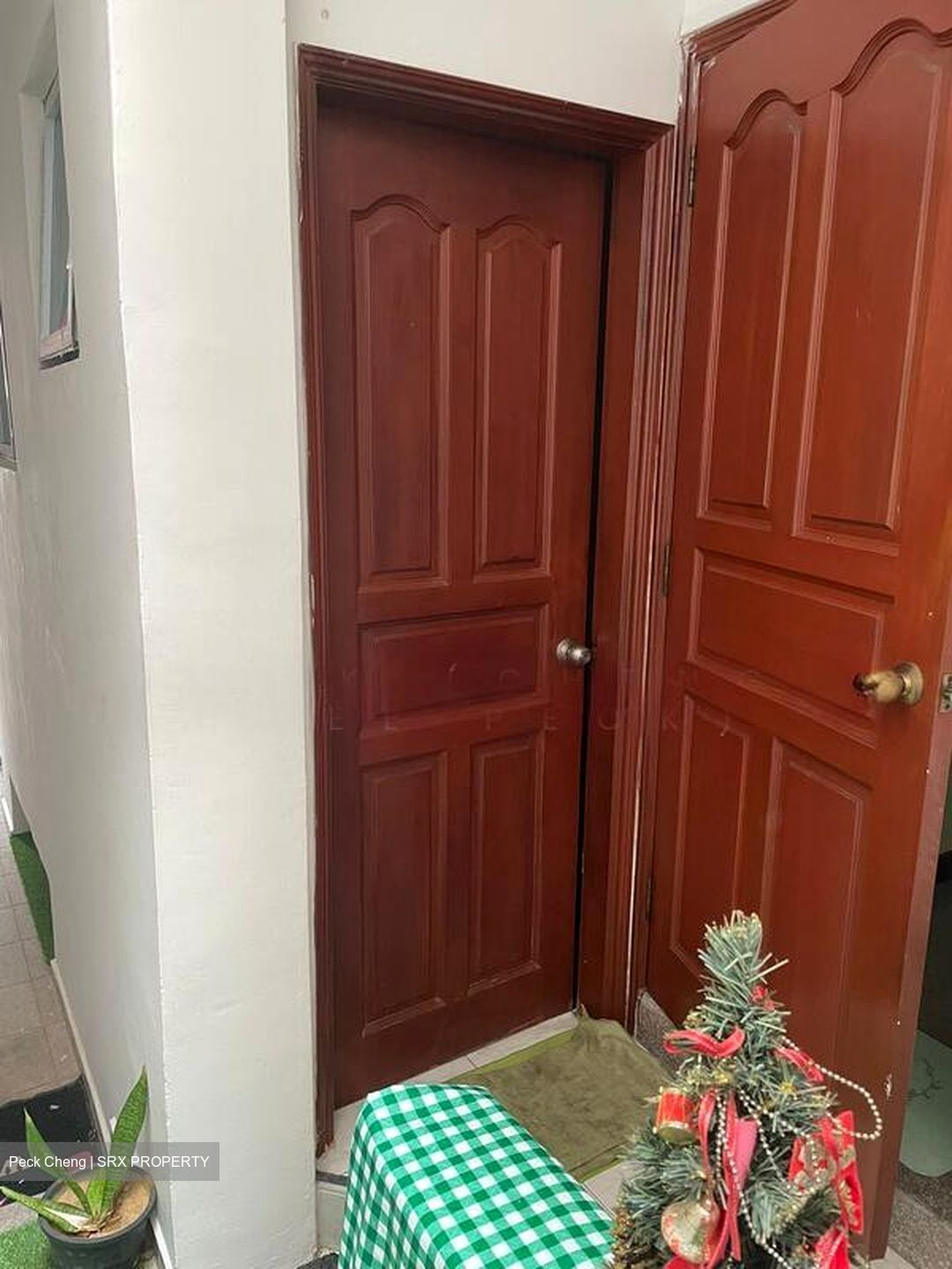 Chuan Green (D19), Semi-Detached #503247521